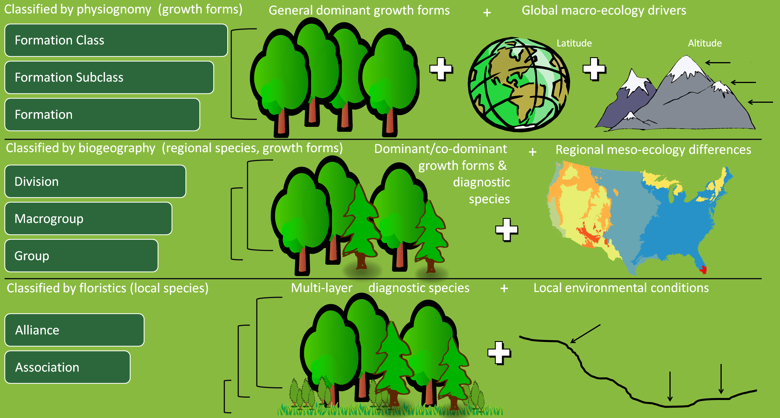 Tree Species Growth Factor Chart