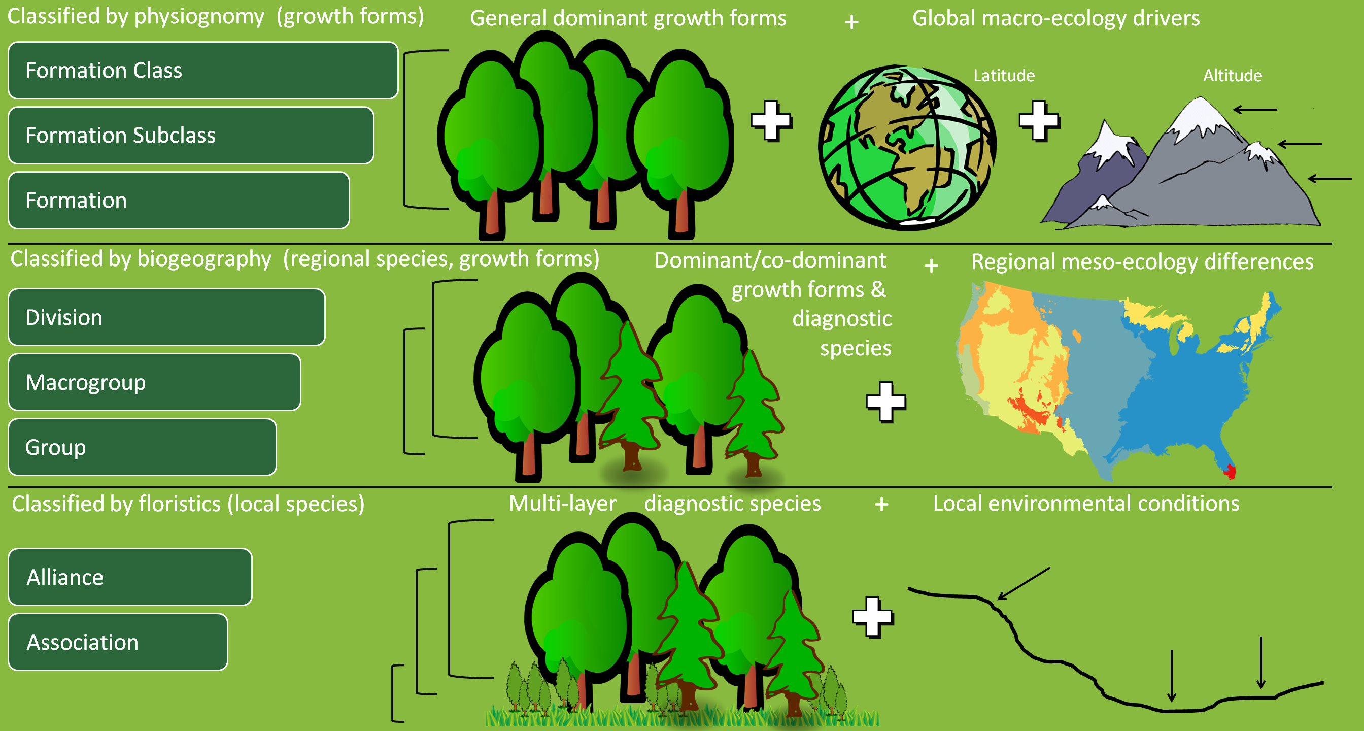 Natural Vegetation Classification The U S National Vegetation 