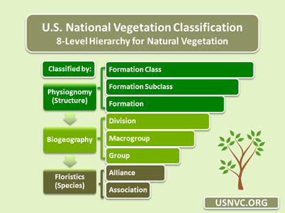 Chart of the 8 level hierarchy for natural vegetation