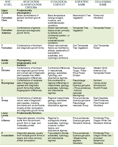 Chart of the classification criteria and levels