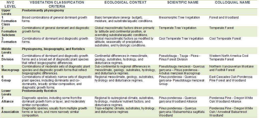 Chart of the classification criteria and levels