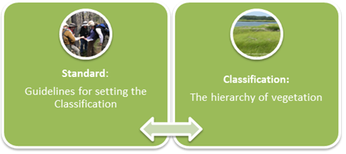 Chart of the standard and classification interactions