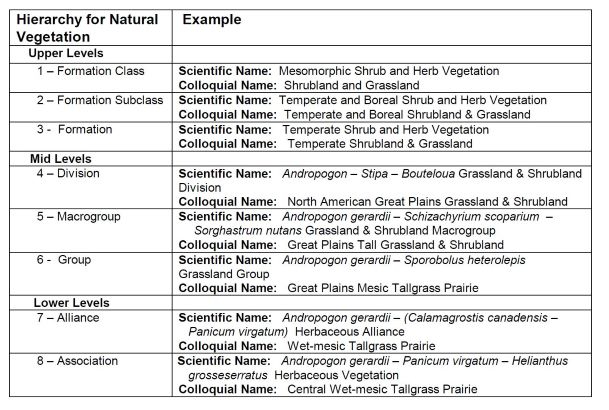 Chart of the structure of the hierarchy and how the levels were determined