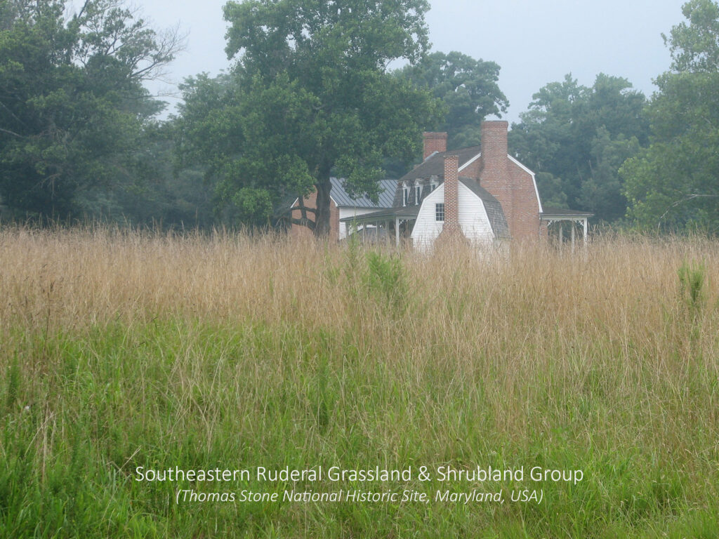 Southeastern ruderal Grassland and Scrubland Group. Thomas Stone National Historic Site, Maryland, USA.