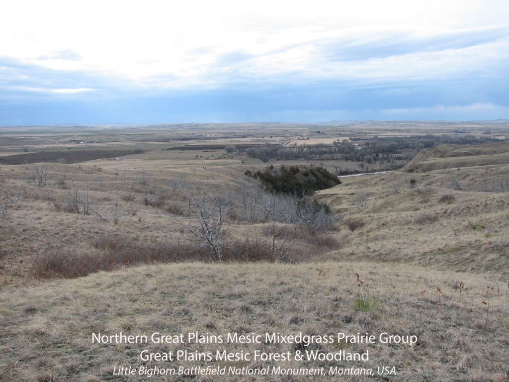 Northern Great Plans Mesic Mixedgrass Pairie Group Great Plains Mesic Forest and Woodland. Little Bighorn Battlefield National Monument, Montana, USA.