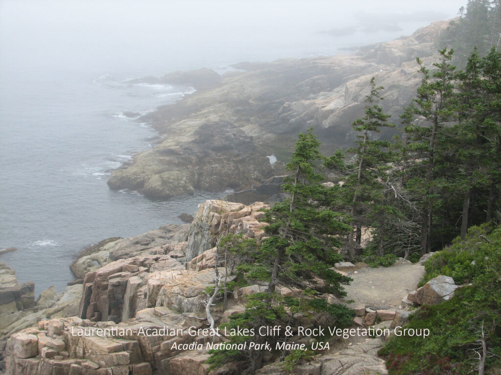 Laurentian-Arcadian-Great Lakes Cliff and Rock Vegetation Group. Arcadia National Park, Maine, USA.