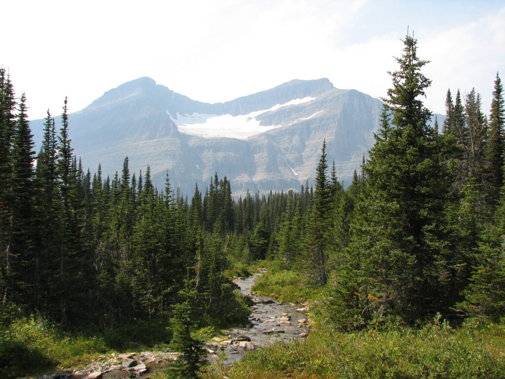 Landscape of trees and creek in foreground and mountain in background