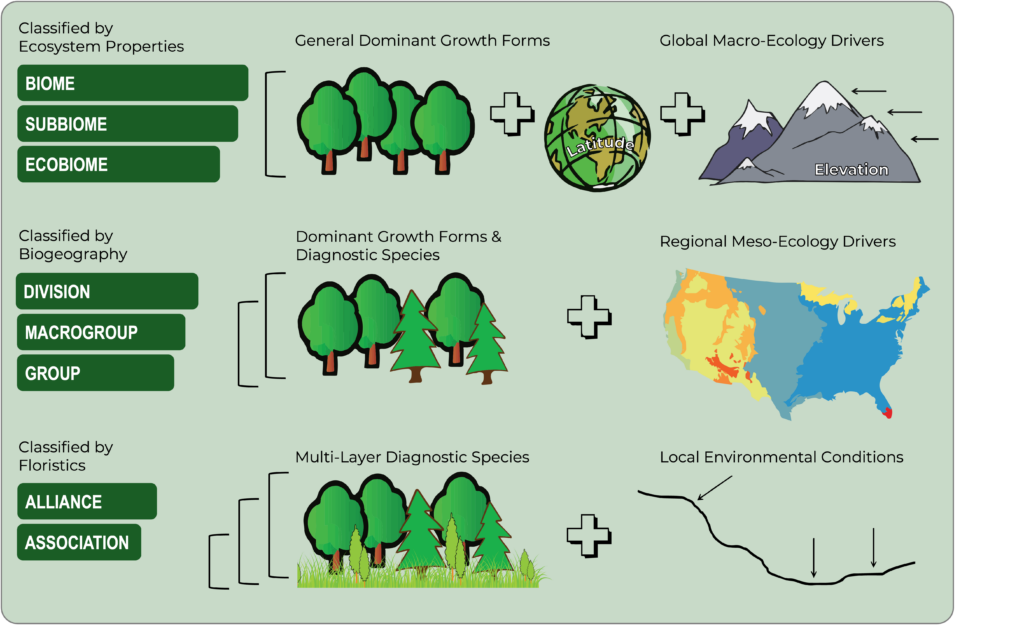 United States Vegetation Classification Hierarchy Image