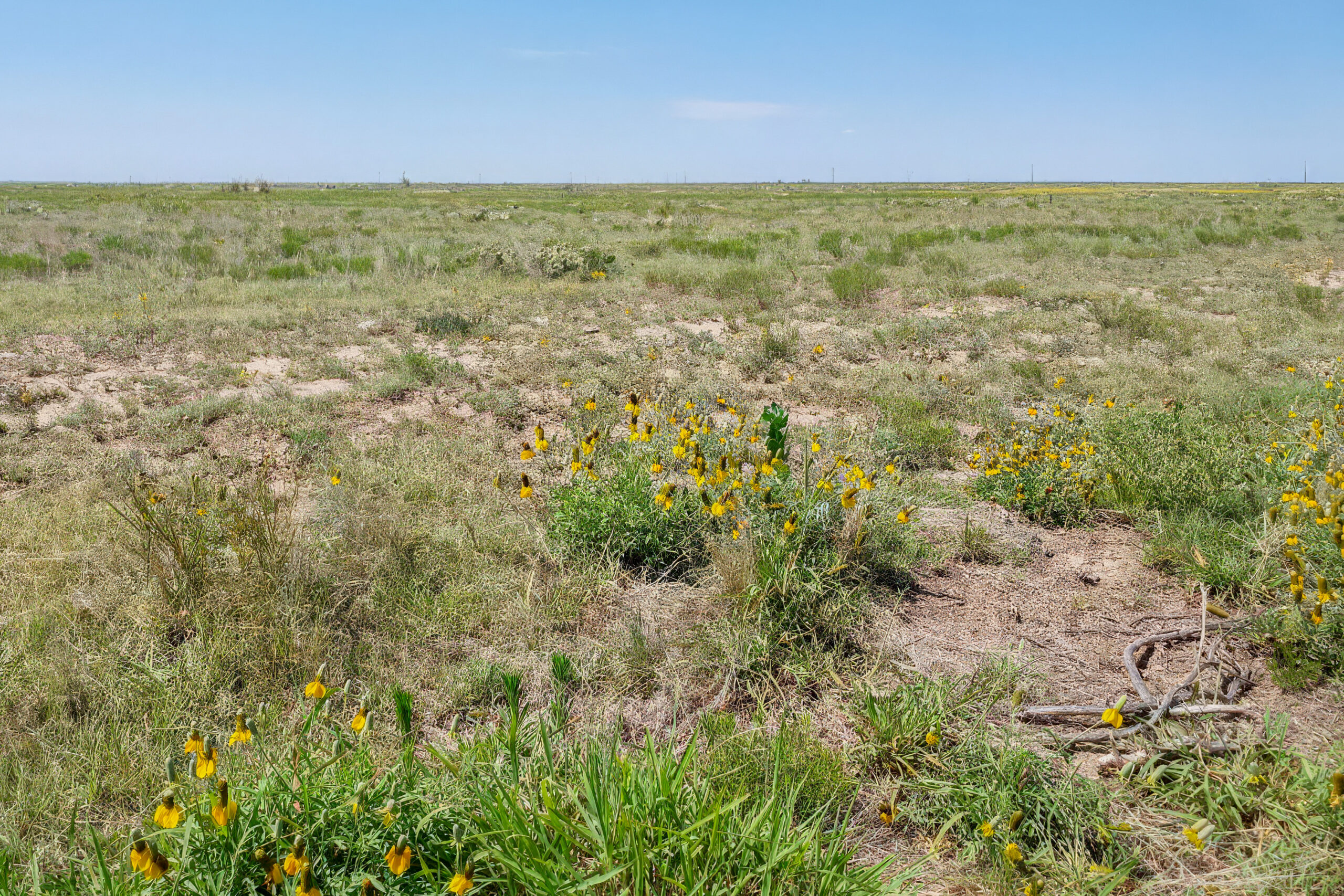Kansas shortgrass prairie