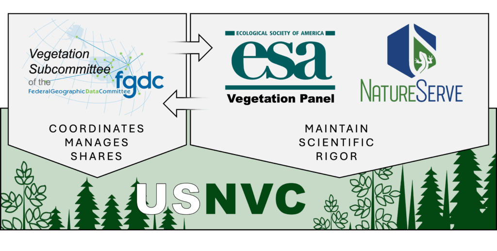 Figure showing coordination of FGDC Vegetation subcommittee with ESA and NatureServe
