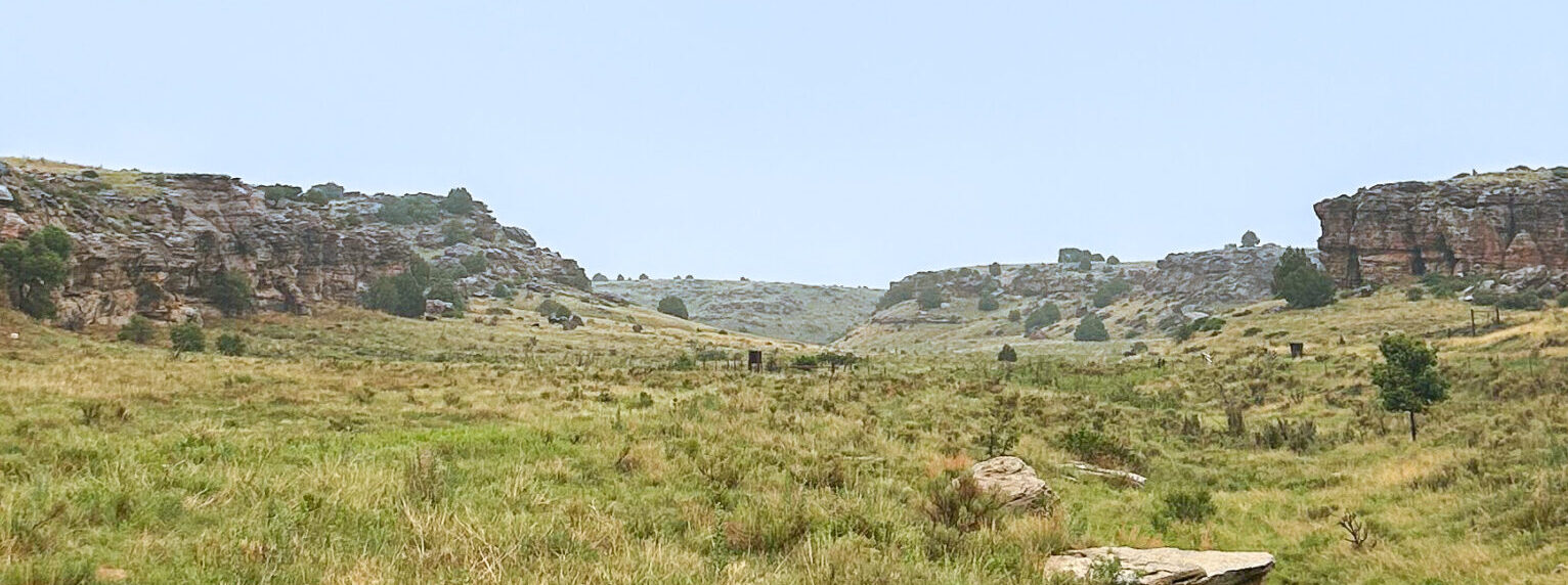 Southern Great Plains Shortgrass Prairie (G144) Colorado
